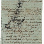 zattini 1